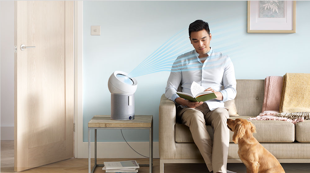 A man reads while his dog watches as a Dyson personal purifier fan projects cooling airflow at him